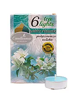 Свеча-таблетка ароматизированная White Flowers 6 шт (4,5 ч) Candlesense Decor голубые