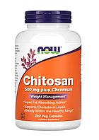 Now Chitosan Plus Chromium 500 mg 240 veg caps