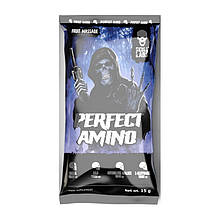 Амінокислотний комплекс Skull Labs Perfect Amino 15 g