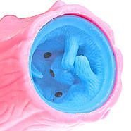 Іграшка антистрес Фуфлік Білочка з пенька (рожева), фото 2