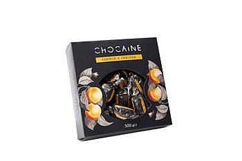 Набір шоколадних цукерок Chocaine «Курага з горіхом» OK-1148 500 г