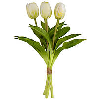 Букет тюльпанов, белый