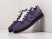 Мужские кроссовки Nike SB Dunk Purple