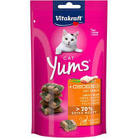 Лакомство для кошек Vitakraft Yums 40 г (курица и кошачья мята)