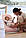 BabyBjorn - Крісло-шезлонг Bouncer Balance Soft Cotton/Jersey, Light Pink/Grey (світло-сіра рама), фото 6