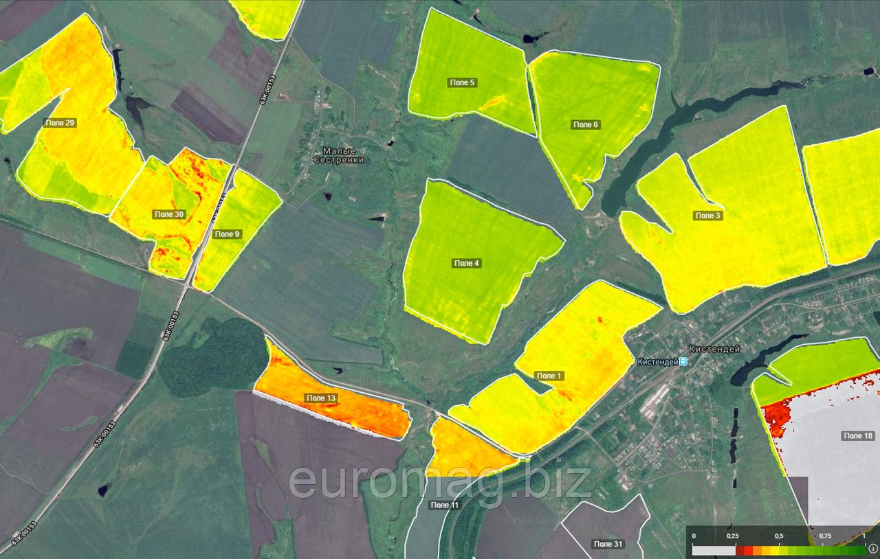 Моніторинг полів. Діагностика посівів, фото 1