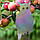 Візуальний відлякувач птахів сова голографічна, фото 3