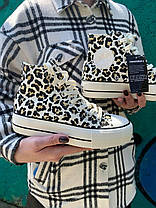 Жіночі кеди Converse Chuck Taylor All Star Lift Hi Leopard Конверс Ол Стар леопардові на платформі, фото 5