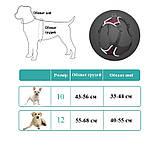 Шлея для собак Bororo Комфорт і контроль під час кожної прогулянки, фото 2