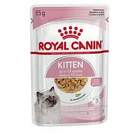 Вологий корм Royal Canin Kitten in Jelly у желе для кошенят віком до 12 місяців 85 г