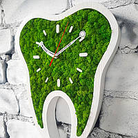 Настенные часы со стабилизированным мхом, подарок для стоматолога, декор для стоматологического кабинета