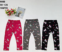 Лосини для дівчат оптом, Taurus, 98-128 см,  № XH-88, фото 3