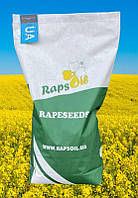 Семена озимого рапса гибрид Шелби 48 - 50 ц / га, ТМ "Рапсоил", Украина (2023 год)