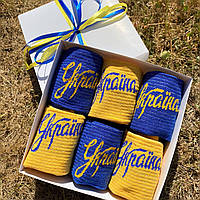 Набір кольорових шкарпеток у боксі з українською символікою 6 шт 36-40 р жовто-синій для подарунка