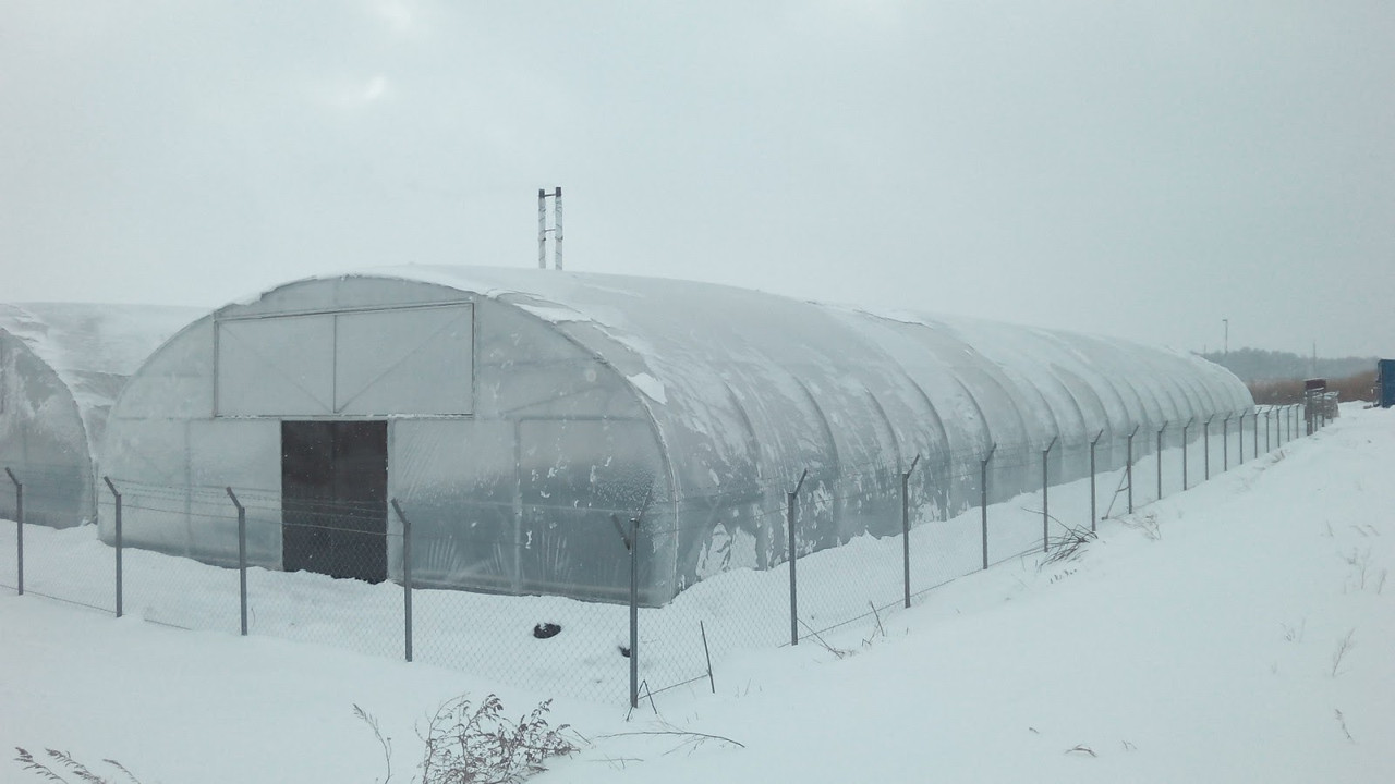 Теплиця "Округла 10х50" розміром 10х50х4.3 м