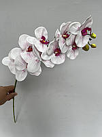 Орхидея белая латексная с латексной серединкой