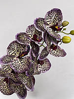 Орхидея искусственная латексная ванда