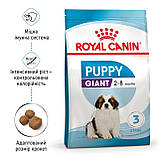 Корм сухий Royal Canin для цуценят собак гігантських порід Giant Puppy 15 kg, фото 6