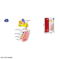 Брелок з ключами S-Y051 батар,музика,світ,звуки, короб.20,5*13,5*4,5 см