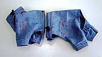 Костюм для собачки из джинса с шортами или юбкой 21 х 27 см
