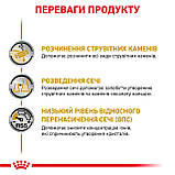 Корм вологий Royal Canin для собак при захворюваннях нижніх сечовивідних шляхів URINARY S/O 410 g, фото 7