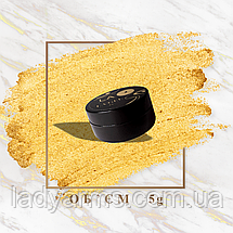 PG006 гель-фарба 5 гр з липким шаром  LA Lady Arms колір золотий, фото 6