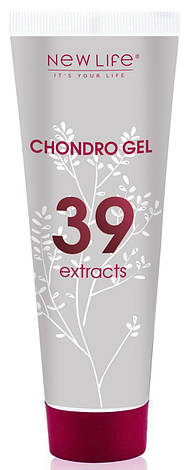 Хондро Гель - Chondro Gel - 39 екстрактів з глюкозаміном і хондроїтином, фото 1