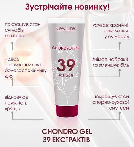 Хондро Гель - Chondro Gel - 39 екстрактів з глюкозаміном і хондроїтином, фото 3