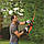 Кущоріз акумуляторний BLACK+DECKER GTC18502PC, фото 5