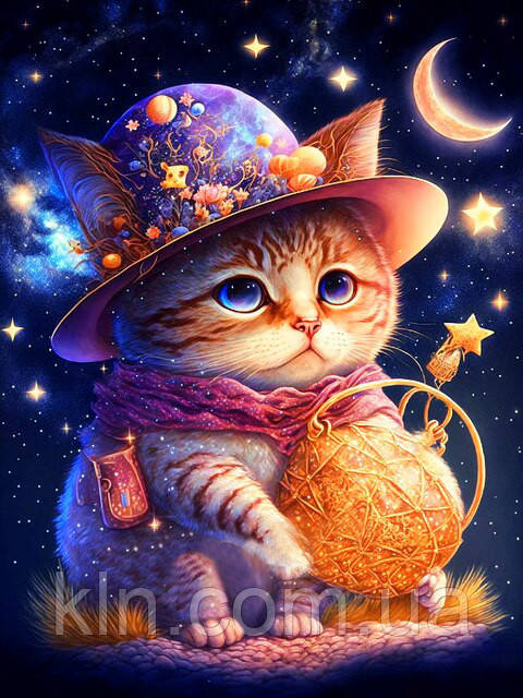 Алмазна вишивка круглі стрази 40 х 50 см на підрамнику Котик сторож зірок (арт. AR-3116), фото 1