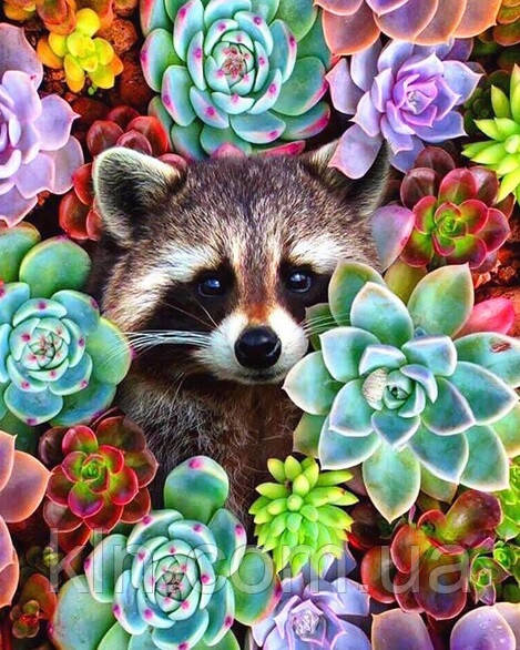 Алмазна вишивка круглі стрази 40 х 50 см на підрамнику Єнотик у квітах (арт. AR-3118) без коробки, фото 1