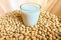 Soy Isoflavones: соєві фітоестрогени та жіноче гормональне здоров’я