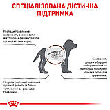 Корм сухий Royal Canin для собак при розладах травлення Gastrointestinal Puppy 2.5 кg, фото 3