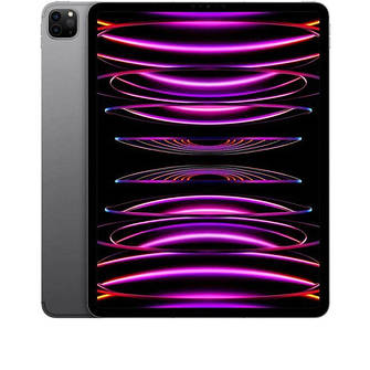 Чохли на IPad Pro 12.9" (2022)