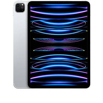 Чохли на IPad Pro 11" (2022)