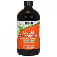 Liquid Chlorophyll Mint Flavor - 16 fl oz