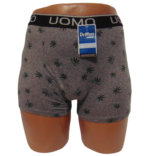 Чоловічі труси Sweet Dream 3183 L сірі, фото 1