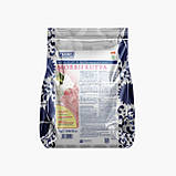 Суха суміш для морозива Fabbri — НЕВІА — 1 кг, фото 4