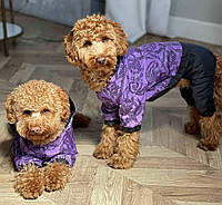 Комбинезон дождевик для собак на тонкой подкладке, размеры для мелких и средних пород, "Сереневый с узором"