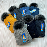 М 91062 Комплект для хлопчика шапка "ORIGINALS"  і баф, 2-6 років, різні кольори, фото 9