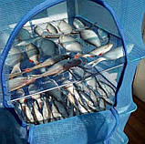 Сітка сушарка RA 8811 Easyall-5 35x35x55 см для сушіння для риби грибів фруктів ягід овочів B_2350, фото 3