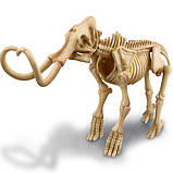 Набір для розкопок 4M Скелет мамонта (00- 03236) B_1049, фото 3