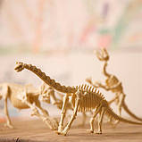 Набір для розкопок 4M Скелет мамонта (00- 03236) B_1049, фото 7