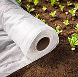 Агроволокно біле 50 г/м² 1.6х100м Shadow Чехія 4% для теплиць парників ґрунту в рулонах B_5704, фото 4