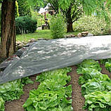 Агроволокно біле 50 г/м² 1.6х100м Shadow Чехія 4% для теплиць парників ґрунту в рулонах B_5704, фото 5