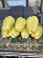 Семена перца Бурабелла F1 (Burabella F1) RZ, 1000 семян, Rijk Zwaan