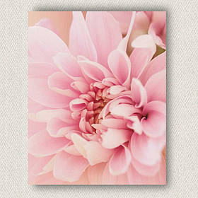 Інтер'єрна картина-постер на стіну Жоржин на світло-рожевому фоні 30*20 Орігамі OP 5379 Маленька