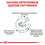 Корм сухий Royal Canin для собак при небажаній реакції на корм HYPOALLERGENIC SMALL DOG 1 кg, фото 2