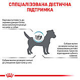 Корм сухий Royal Canin для собак при небажаній реакції на корм HYPOALLERGENIC SMALL DOG 1 кg, фото 3