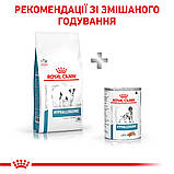 Корм сухий Royal Canin для собак при небажаній реакції на корм HYPOALLERGENIC SMALL DOG 1 кg, фото 5